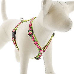 LupinePet Original Designs Petunias Adjustable Dog Harness, Medium: 14 to 24-in chest, 3/4-in wide