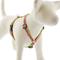 Show in main carousel: LupinePet Original Designs Petunias Adjustable Dog Harness, Medium: 14 to 24-in chest, 3/4-in wide slide 1 of 6