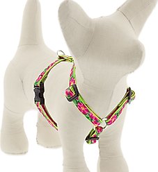LupinePet Original Designs Petunias Adjustable Dog Harness, X-Small: 9 to 14-in chest, 1/2-in wide