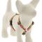 Show in main carousel: LupinePet Original Designs Petunias Adjustable Dog Harness, Small: 12 to 20-in chest, 1/2-in wide slide 1 of 6