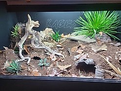 Reptile Kages 4x2x2 Premium PVC Reptile Enclosure, 110-gal slide 2 of 9