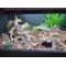 Show in main carousel: Reptile Kages 4x2x2 Premium PVC Reptile Enclosure, 110-gal slide 9 of 10