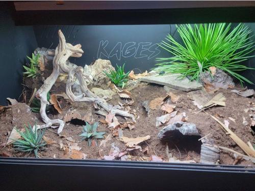 Show full view: Reptile Kages 4x2x2 Premium PVC Reptile Enclosure, 110-gal slide 9 of 10