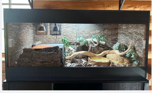 Show full view: Reptile Kages 4x2x2 Premium PVC Reptile Enclosure, 110-gal slide 8 of 10