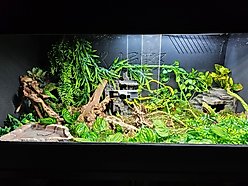 Reptile Kages 5x2x2 Premium PVC Reptile Enclosure, 138-gal slide 2 of 9