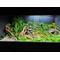 Show in main carousel: Reptile Kages 5x2x2 Premium PVC Reptile Enclosure, 138-gal slide 9 of 10