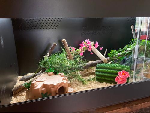 Show full view: Reptile Kages 5x2x2 Premium PVC Reptile Enclosure, 138-gal slide 8 of 10