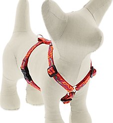 LupinePet Original Designs Go Go Gecko Adjustable Dog Harness, Small: 12 to 20-in chest, 1/2-in wide
