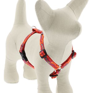 LupinePet Original Designs Go Go Gecko Adjustable Dog Harness, Small: 12 to 20-in chest, 1/2-in wide