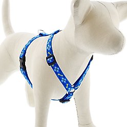 LupinePet Original Designs Dapper Dog Adjustable Dog Harness, Small: 12 to 20-in chest, 3/4-in wide