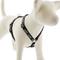 Show in main carousel: LupinePet Original Designs Bling Bonz Adjustable Dog Harness, Large: 20 to 32-in chest, 3/4-in wide slide 1 of 6