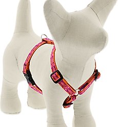 LupinePet Original Designs Alpen Glow Adjustable Dog Harness, X-Small: 9 to 14-in chest, 1/2-in wide