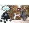 Show in main carousel: Wefeedy Foldable 4-Wheel Dog & Cat Stroller, Black, Medium slide 7 of 10