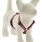 Show in main carousel: LupinePet Original Designs El Paso Adjustable Dog Harness, Small: 12 to 20-in chest, 1/2-in wide slide 1 of 6