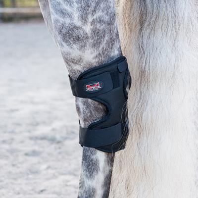 Show full view: Tough1 Magnetic Therapy Horse Hock Boots slide 3 of 4