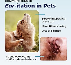 Vetnique Labs Oticbliss Cleaning & Drying Ear Finger Mitt Dog & Cat Ear Wipes, 50 count slide 2 of 9