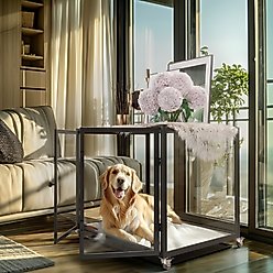 BingoPaw Tempered Glass Dog Crate, Black, 42 inch