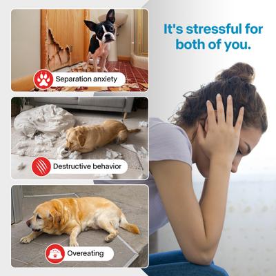 Show full view: allforpaws Chill Out Frosty Lick Dog Toy, Blue slide 2 of 7