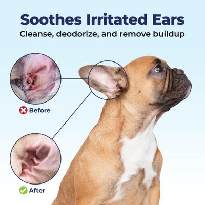 Show full view: Vetnique Labs Oticbliss Cleaning & Drying Ear Finger Mitt Dog & Cat Ear Wipes, 50 count slide 7 of 11