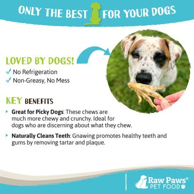 Show full view: Raw Paws Dried Chicken Feet Dehydrated Dog Treats, 10 count slide 3 of 8