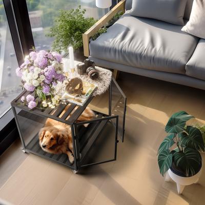 Show full view: BingoPaw Tempered Glass Dog Crate, Black, 30 inch slide 5 of 9