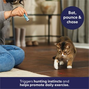 Frisco Laser Cat Toy, Blue Paw Prints