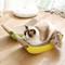 Show in main carousel: Happy & Polly Banana Sculpted Curved Design Cat Scratching Pad slide 2 of 7