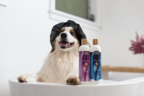 Show full view: Bio-Groom Indulge Sulfate-Free Argan Oil Dog Shampoo, 5-gal pail slide 5 of 6