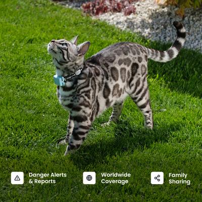 Show full view: Tractive Smart Cat GPS Tracker with Wellness Monitoring & Breakaway Collar, Dark Blue slide 9 of 12