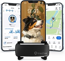 chewy gps tracker