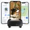 Show in main carousel: Tractive Smart Dog GPS Tracker with Vital Signs Monitoring, Dog Collar Attachment, Black slide 1 of 10