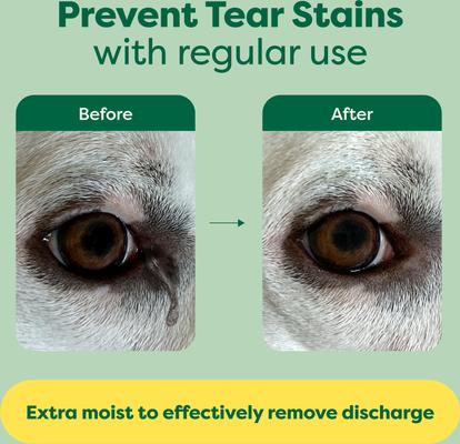 Show full view: Earth Rated Vet-Developed Hypoallergenic Pet Eye Wipes Fragrance Free, 70 count slide 4 of 11