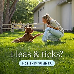 PetArmor Plus Flea & Tick Spot Treatment for Dogs, 45-88 lbs, 6 Doses (6-mos. supply)