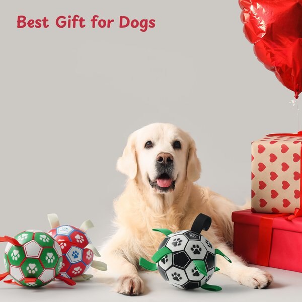Nocciola Soccer Ball with Straps Dog Toy