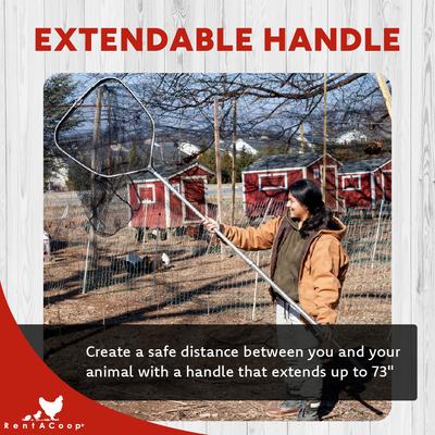 Show full view: RentACoop Folding Chicken & Small Pet Catching Net slide 4 of 9