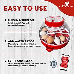 RentACoop Smart 16 Egg Incubator with Built-In Candler slide 2 of 9