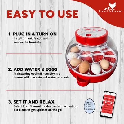 Show full view: RentACoop Smart 16 Egg Incubator with Built-In Candler slide 5 of 9