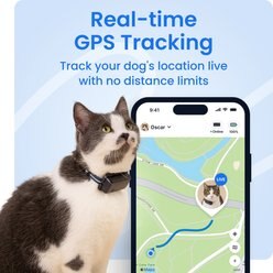 chewy gps tracker