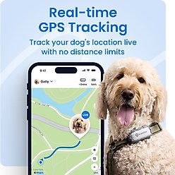 Tractive Smart Dog GPS Tracker with Vital Signs Monitoring, Dog Collar Attachment, Gray, X-Large slide 2 of 8