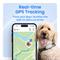 Show in main carousel: Tractive Smart Dog GPS Tracker with Vital Signs Monitoring, Dog Collar Attachment, Gray, X-Large slide 3 of 12