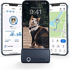 Tractive Smart Cat GPS Tracker & Wellness Monitor with Breakaway Cat Collar, Black