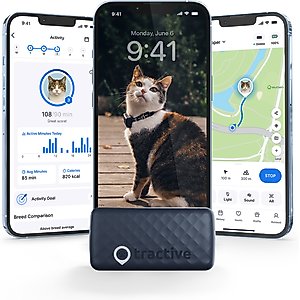Tractive Dog GPS Tracker with Activity Monitoring