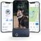 Show in main carousel: Tractive Smart Cat GPS Tracker with Wellness Monitoring & Breakaway Collar, Dark Blue slide 1 of 12