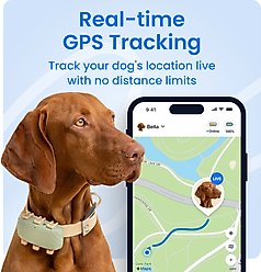 Tractive Smart Dog GPS Tracker with Vital Signs Monitoring, Dog Collar Attachment, Green, X-Large slide 2 of 9