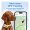 Show in main carousel: Tractive Smart Dog GPS Tracker with Vital Signs Monitoring, Dog Collar Attachment, Green, X-Large slide 2 of 12