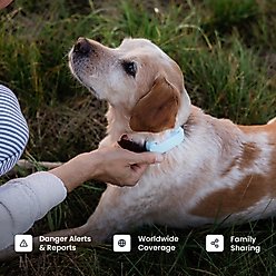 chewy gps tracker