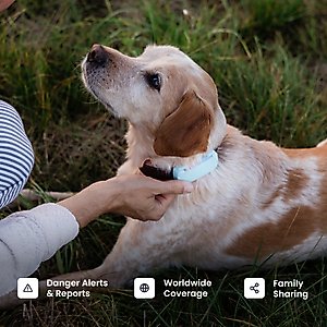 Tractive Smart Dog GPS Tracker & Vital Signs Monitor Dog Collar Attachment, Black