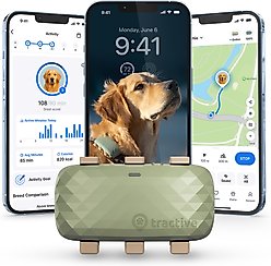Tractive Smart Dog GPS Tracker with Vital Signs Monitoring, Dog Collar Attachment, Green, X-Large