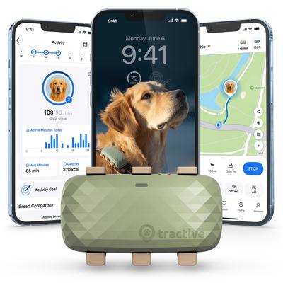 Show full view: Tractive Smart Dog GPS Tracker with Vital Signs Monitoring, Dog Collar Attachment, Green, X-Large slide 1 of 12