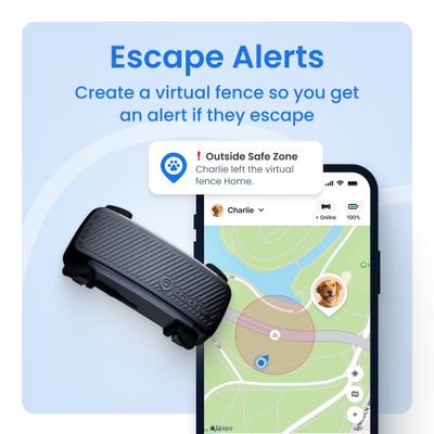 Show full view: Tractive Smart Dog GPS Tracker with Vital Signs Monitoring, Dog Collar Attachment, Brown slide 3 of 10